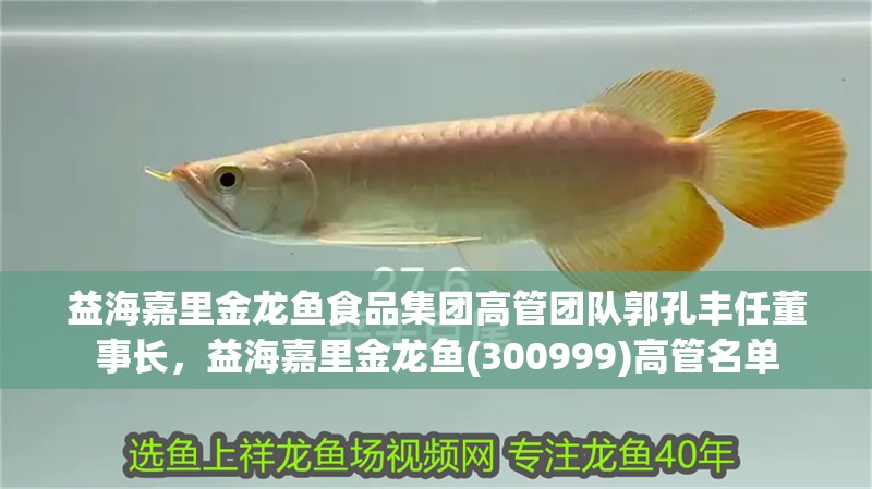 益海嘉里金龍魚食品集團高管團隊郭孔豐任董事長，益海嘉里金龍魚(300999)高管名單