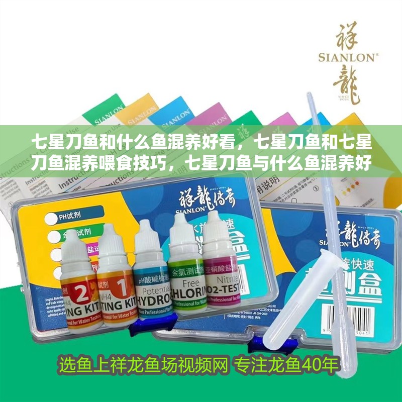七星刀魚和什么魚混養好看，七星刀魚和七星刀魚混養喂食技巧，七星刀魚與什么魚混養好看 七星刀魚和什么魚混養好看，七星刀魚和七星刀魚混養喂食技巧，七星刀魚與什么魚混養好看 觀賞魚百科 第2張