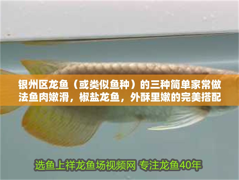 銀州區(qū)龍魚（或類似魚種）的三種簡單家常做法魚肉嫩滑，椒鹽龍魚，外酥里嫩的完美搭配