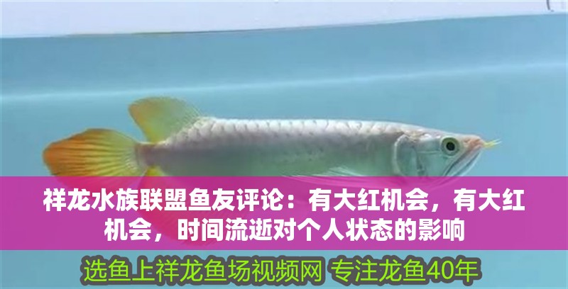祥龍水族聯盟魚友評論：有大紅機會，有大紅機會，時間流逝對個人狀態的影響