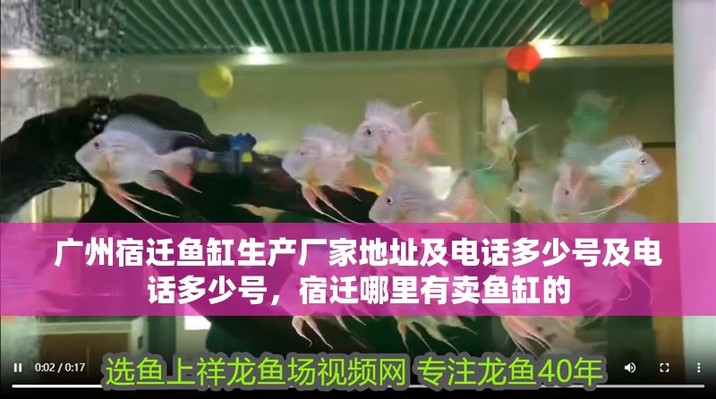 廣州宿遷魚缸生產廠家地址及電話多少號及電話多少號，宿遷哪里有賣魚缸的