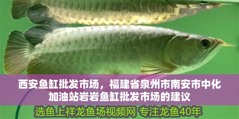 西安魚缸批發市場，福建省泉州市南安市中化加油站巖巖魚缸批發市場的建議