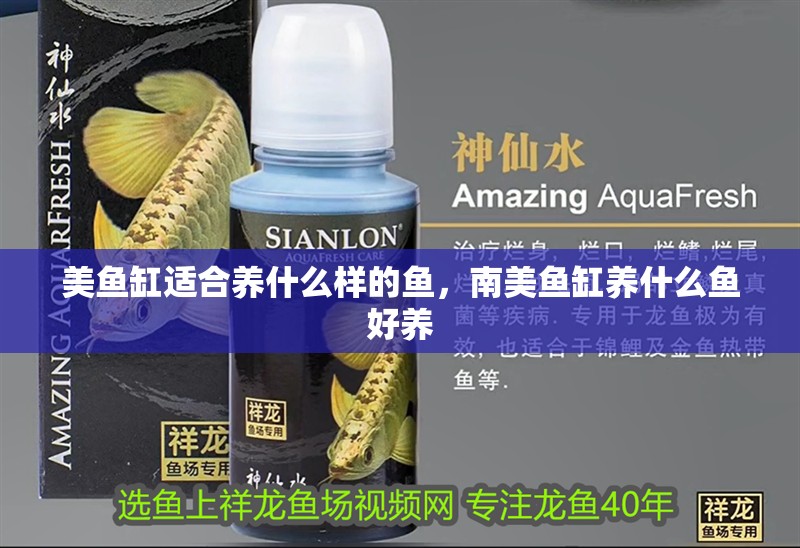 美魚缸適合養(yǎng)什么樣的魚，南美魚缸養(yǎng)什么魚好養(yǎng)