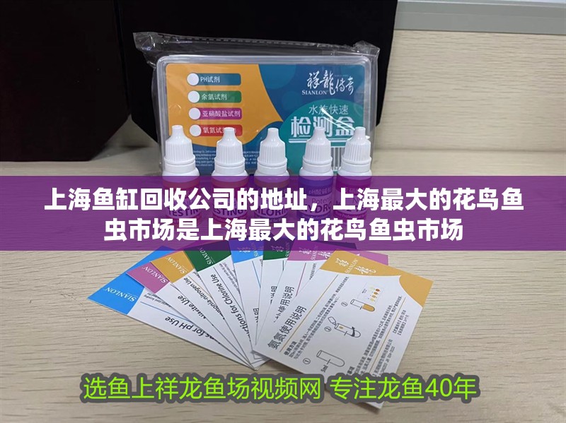 <strong><mark>上海</mark></strong>魚缸回收公司的地址，<strong><mark>上海</mark></strong>最大的花鳥魚蟲市場是<strong><mark>上海</mark></strong>最大的花鳥魚蟲市場