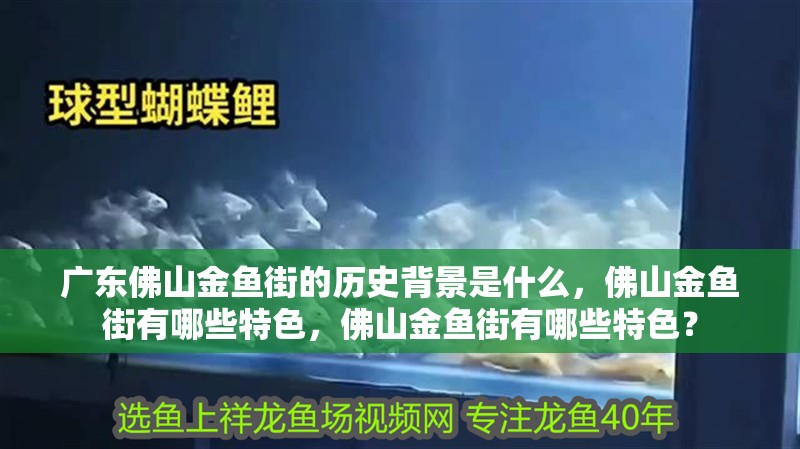 廣東佛山金魚街的歷史背景是什么，佛山金魚街有哪些特色，佛山金魚街有哪些特色？