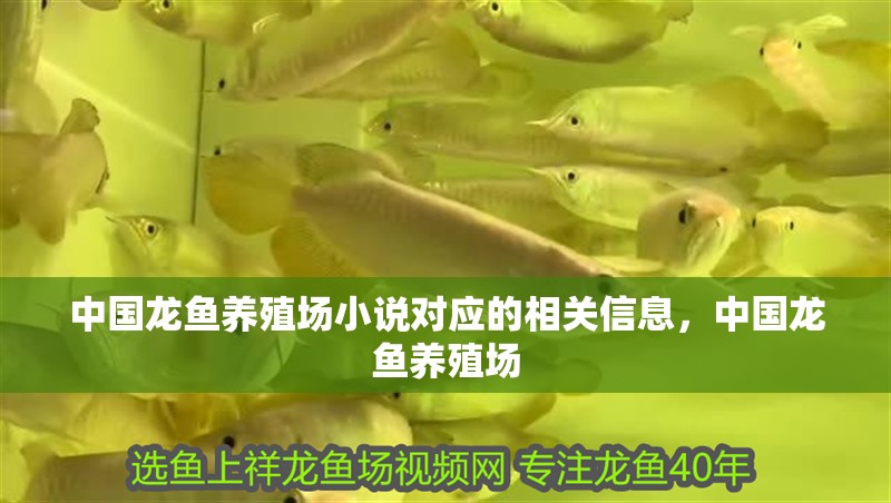 中國(guó)龍魚養(yǎng)殖場(chǎng)小說對(duì)應(yīng)的相關(guān)信息，中國(guó)龍魚養(yǎng)殖場(chǎng)