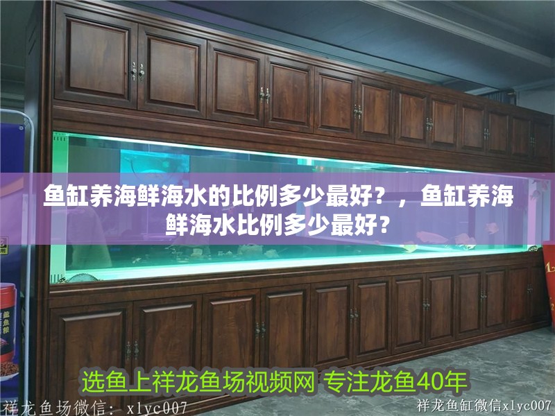 魚缸養海鮮海水的比例多少最好？，魚缸養海鮮海水比例多少最好？