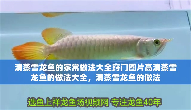 清蒸雪龍魚的家常做法大全竅門圖片高清蒸雪龍魚的做法大全，清蒸雪龍魚的做法