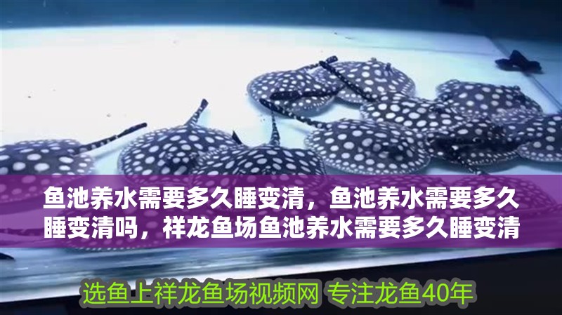魚池養水需要多久睡變清，魚池養水需要多久睡變清嗎，祥龍魚場魚池養水需要多久睡變清，魚池養水需要多久睡變清