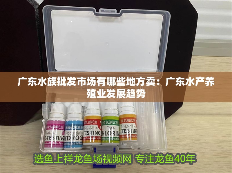 廣東水族批發市場有哪些地方賣：廣東水產養殖業發展趨勢