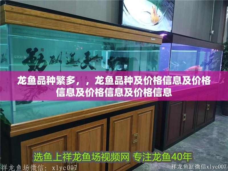 詳細閱讀:龍魚品種繁多,,龍魚品種及價格信息及價格信息及價格信息及價格信息 龍魚品種繁多,,龍魚品種及價格信息及價格信息及價格信息及價格信息