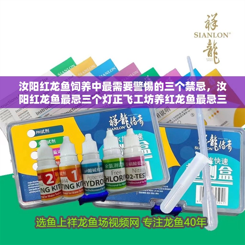 汝陽(yáng)紅龍魚(yú)飼養(yǎng)中最需要警惕的三個(gè)禁忌，汝陽(yáng)紅龍魚(yú)最忌三個(gè)燈正飛工坊養(yǎng)紅龍魚(yú)最忌三個(gè)燈正飛工坊