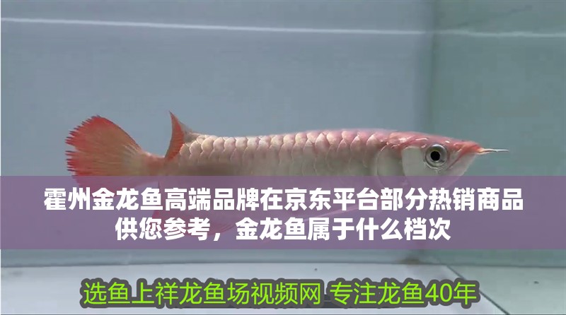 霍州金龍魚高端品牌在京東平臺部分熱銷商品供您參考，金龍魚屬于什么檔次