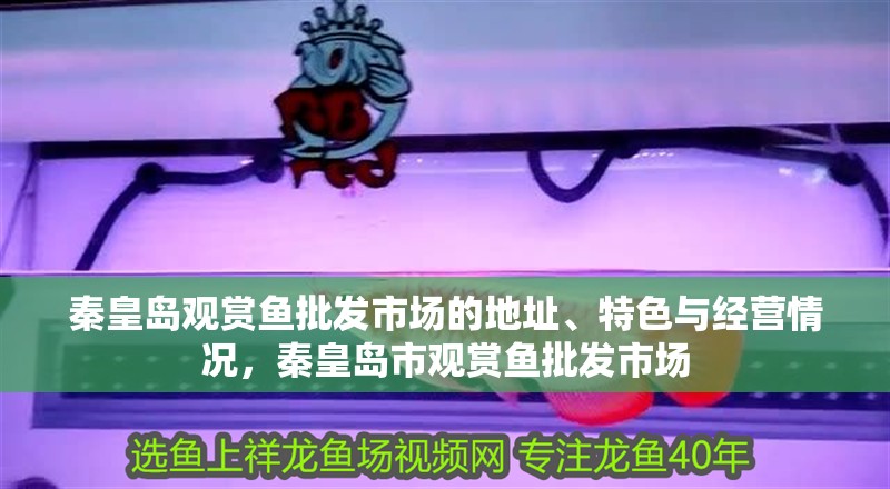 秦皇島觀賞魚批發(fā)市場的地址、特色與經(jīng)營情況，秦皇島市觀賞魚批發(fā)市場