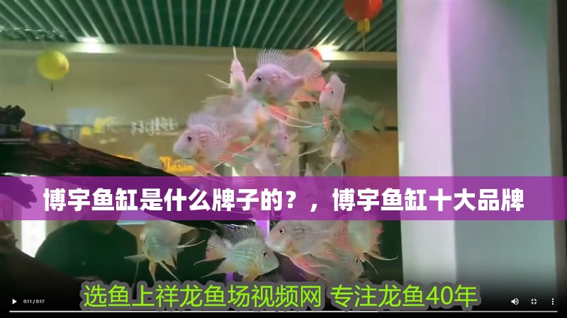 博宇魚缸是什么牌子的？，博宇魚缸十大品牌