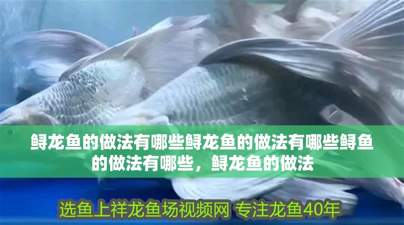 鱘龍魚的做法有哪些鱘龍魚的做法有哪些鱘魚的做法有哪些，鱘龍魚的做法
