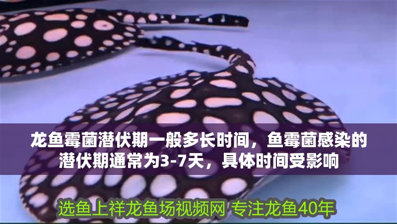 龍魚霉菌潛伏期一般多長時間，魚霉菌感染的潛伏期通常為3-7天，具體時間受影響