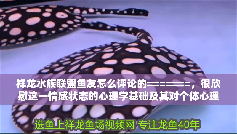 祥龍水族聯(lián)盟魚友怎么評(píng)論的=======，很欣慰這一情感狀態(tài)的心理學(xué)基礎(chǔ)及其對(duì)個(gè)體心理健康的影響