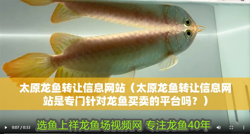 太原龍魚轉讓信息網站（太原龍魚轉讓信息網站是專門針對龍魚買賣的平臺嗎？）