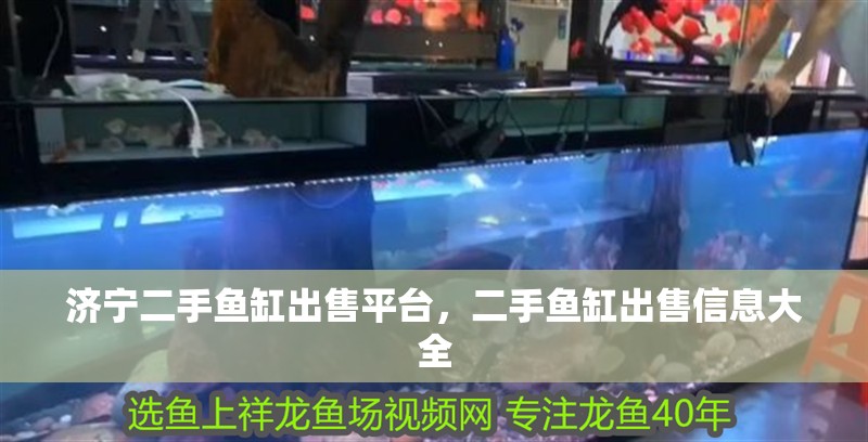 濟寧二手魚缸出售平臺，二手魚缸出售信息大全