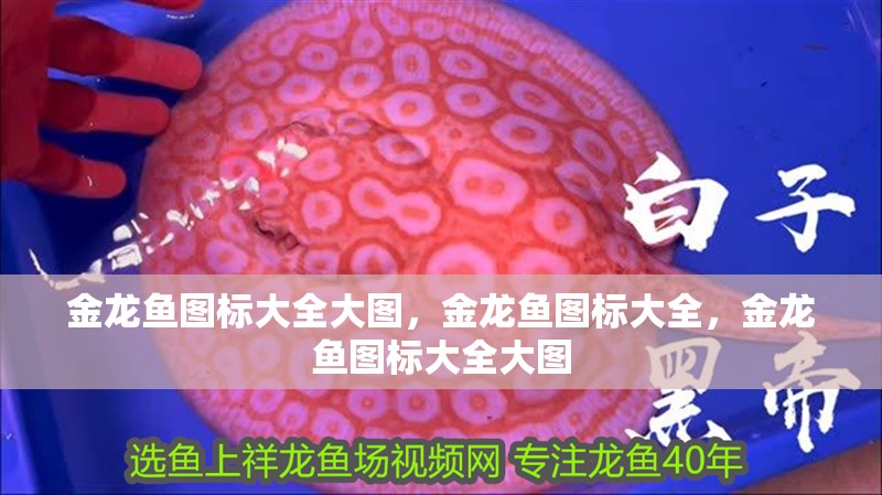 金龍魚圖標大全大圖，金龍魚圖標大全，金龍魚圖標大全大圖