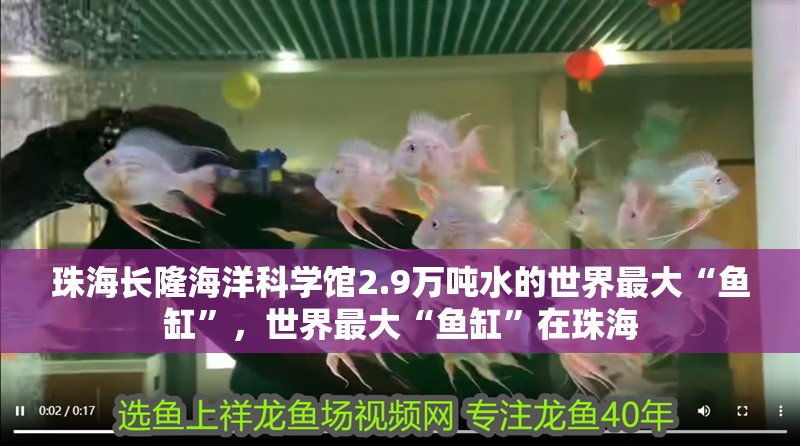 <strong><mark>珠海</mark></strong>長隆海洋科學(xué)館2.9萬噸水的世界最大“魚缸”，世界最大“魚缸”在<strong><mark>珠海</mark></strong>
