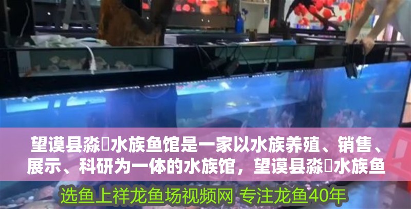 望謨縣淼鱻水族魚館是一家以水族養(yǎng)殖、銷售、展示、科研為一體的水族館,望謨縣淼鱻水族魚館