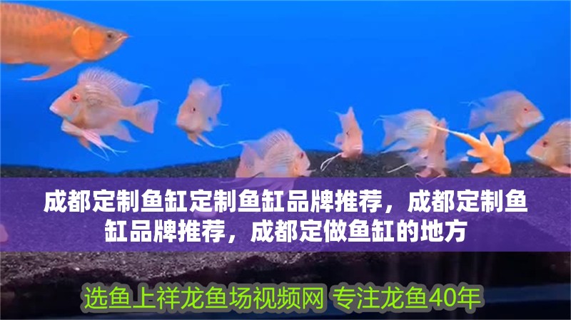 <strong><mark>成都</mark></strong>定制魚缸定制魚缸品牌推薦，<strong><mark>成都</mark></strong>定制魚缸品牌推薦，<strong><mark>成都</mark></strong>定做魚缸的地方