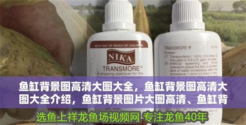 魚缸背景圖高清大圖大全，魚缸背景圖高清大圖大全介紹，魚缸背景圖片大圖高清、魚缸背景圖高清大圖大全