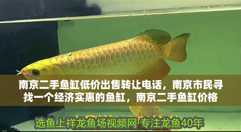 南京二手魚缸低價出售轉讓電話，南京市民尋找一個經濟實惠的魚缸，南京二手魚缸價格