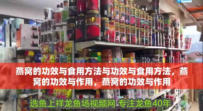 燕窩的功效與食用方法與功效與食用方法，燕窩的功效與作用，燕窩的功效與作用