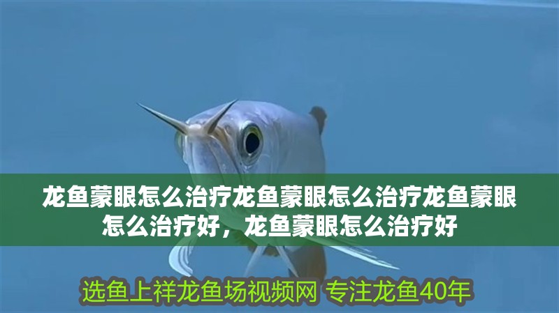 龍魚蒙眼怎么治療龍魚蒙眼怎么治療龍魚蒙眼怎么治療好，龍魚蒙眼怎么治療好