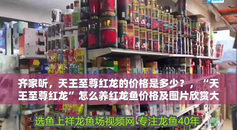 齊家聽，天王至尊紅龍的價格是多少？，“天王至尊紅龍”怎么養(yǎng)紅龍魚價格及圖片欣賞大全