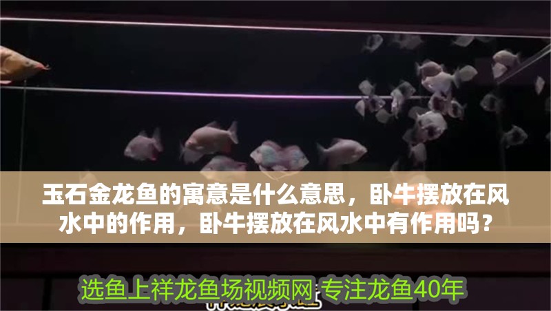玉石金龍魚的寓意是什么意思，臥牛擺放在風(fēng)水中的作用，臥牛擺放在風(fēng)水中有作用嗎？