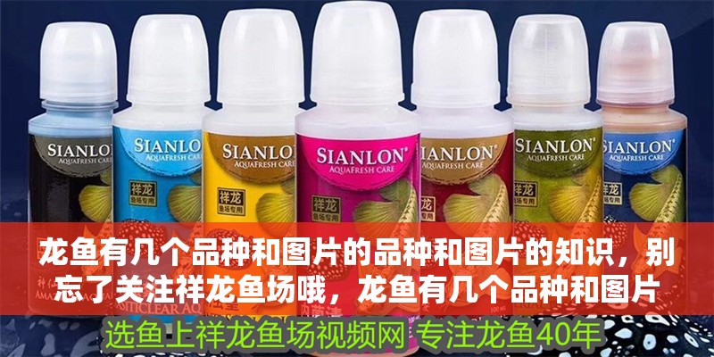 龍魚有幾個品種和圖片的品種和圖片的知識，別忘了關注祥龍魚場哦，龍魚有幾個品種和圖片