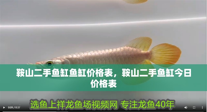 鞍山二手魚缸魚缸價格表，鞍山二手魚缸今日價格表