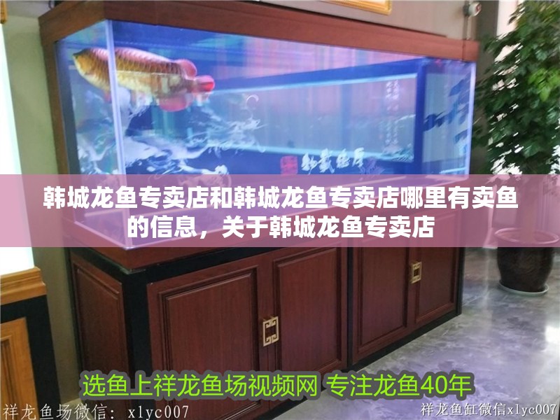 韓城龍魚專賣店和韓城龍魚專賣店哪里有賣魚的信息，關于韓城龍魚專賣店