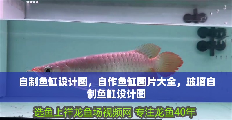 自制魚缸設(shè)計圖，自作魚缸圖片大全，玻璃自制魚缸設(shè)計圖