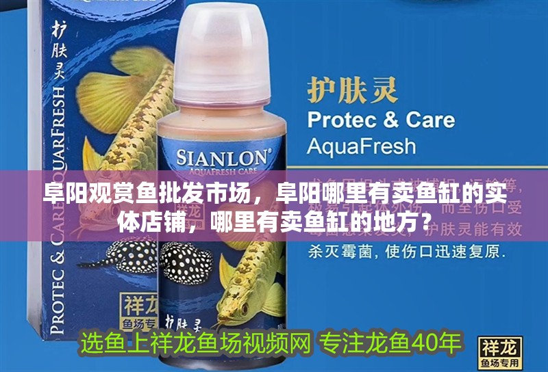 阜陽觀賞魚批發市場，阜陽哪里有賣魚缸的實體店鋪，哪里有賣魚缸的地方？