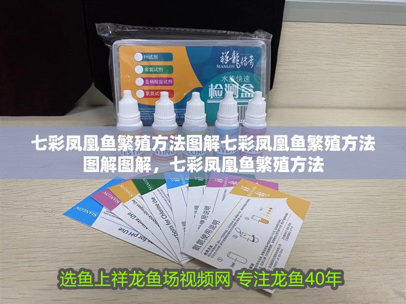 七彩鳳凰魚繁殖方法圖解七彩鳳凰魚繁殖方法圖解圖解，七彩鳳凰魚繁殖方法