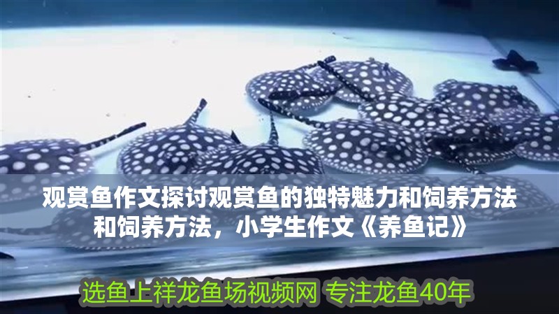 觀賞魚作文探討觀賞魚的獨特魅力和飼養方法和飼養方法，小學生作文《養魚記》