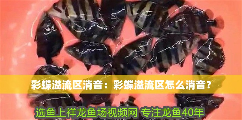 彩蝶溢流區(qū)消音：彩蝶溢流區(qū)怎么消音？
