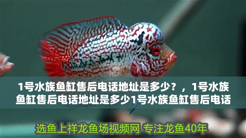 1號(hào)水族魚缸售后電話地址是多少？，1號(hào)水族魚缸售后電話地址是多少1號(hào)水族魚缸售后電話地址是多少