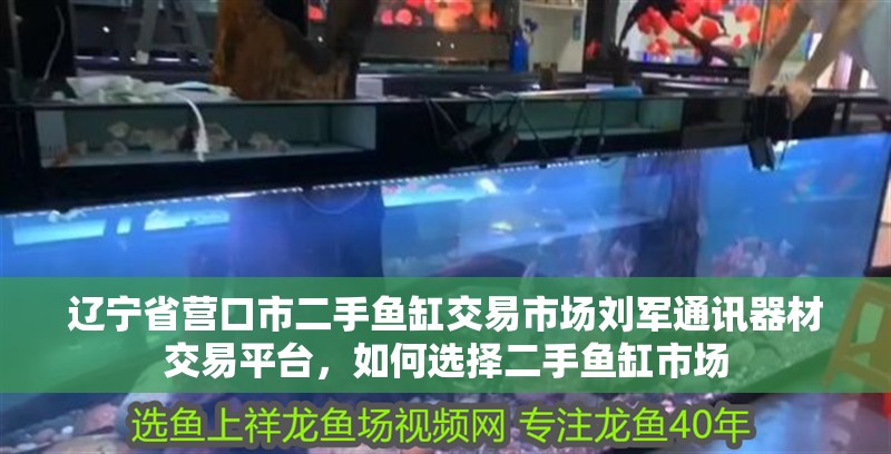 遼寧省營口市二手魚缸交易市場劉軍通訊器材交易平臺，如何選擇二手魚缸市場