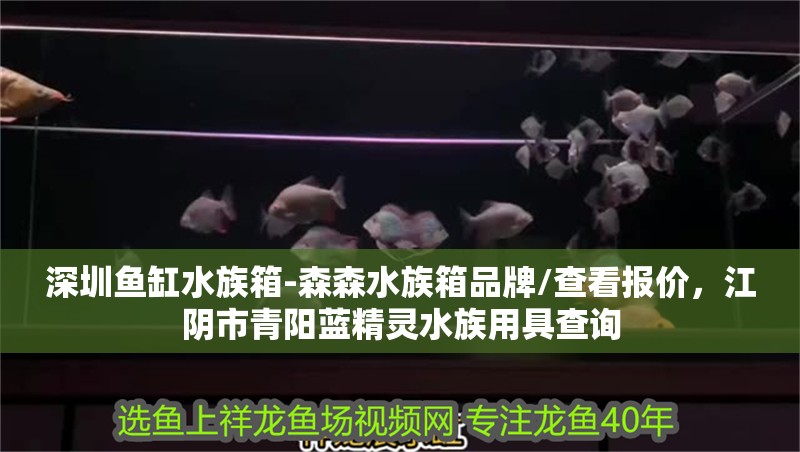 深圳魚缸水族箱-森森水族箱品牌/查看報價，江陰市青陽藍精靈水族用具查詢