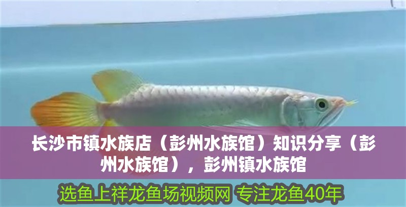 長沙市鎮水族店（彭州水族館）知識分享（彭州水族館），彭州鎮水族館