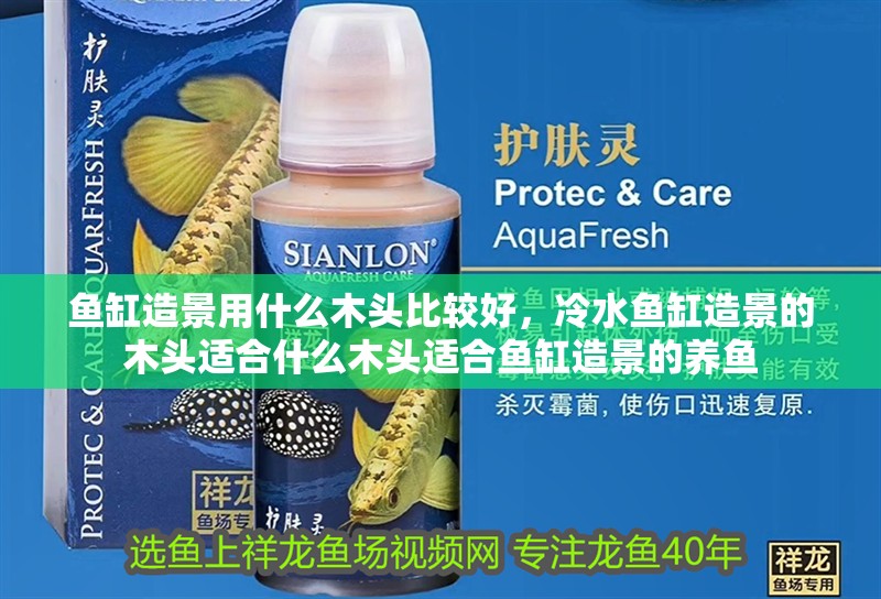 魚缸造景用什么木頭比較好，冷水魚缸造景的木頭適合什么木頭適合魚缸造景的養魚