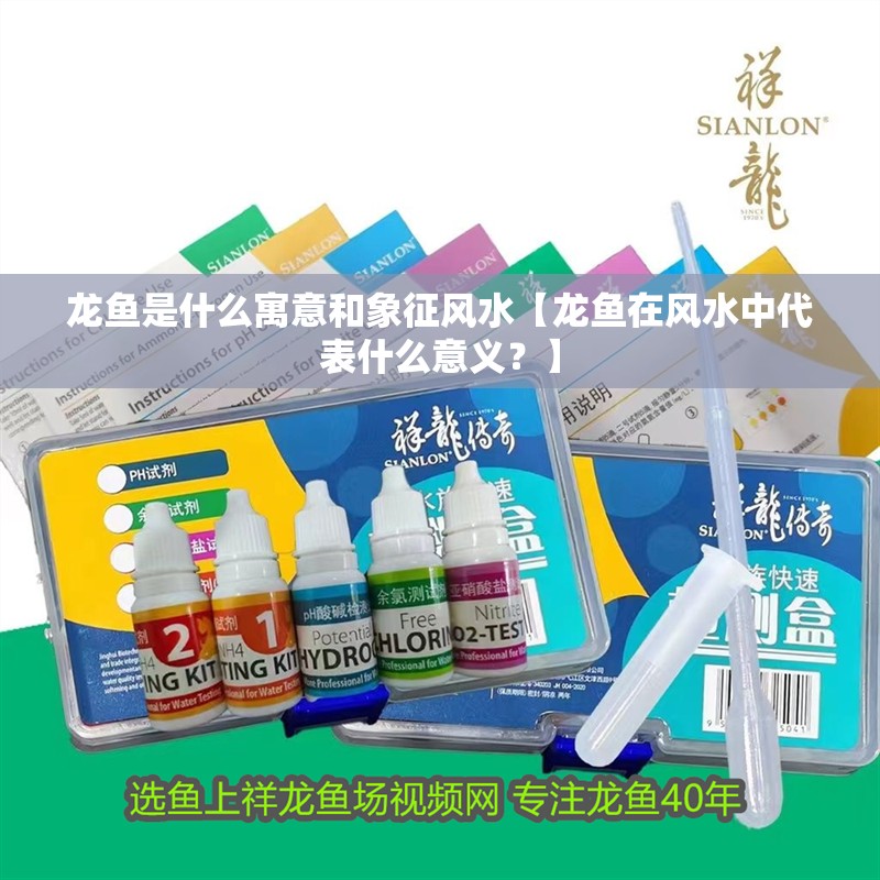 龍魚是什么寓意和象征風(fēng)水【龍魚在風(fēng)水中代表什么意義？】