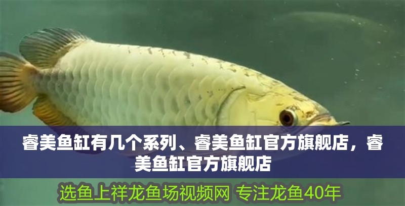 睿美魚缸有幾個系列、睿美魚缸官方旗艦店，睿美魚缸官方旗艦店