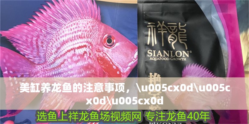 美缸養龍魚的注意事項，\u005cx0d\u005cx0d\u005cx0d